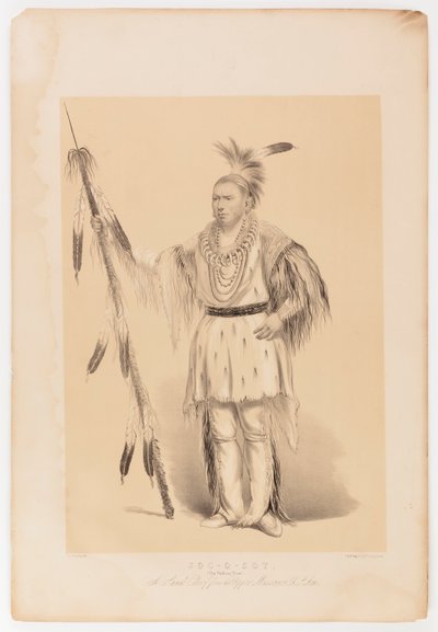 Joc-o-sot, el Oso Caminante de George Catlin