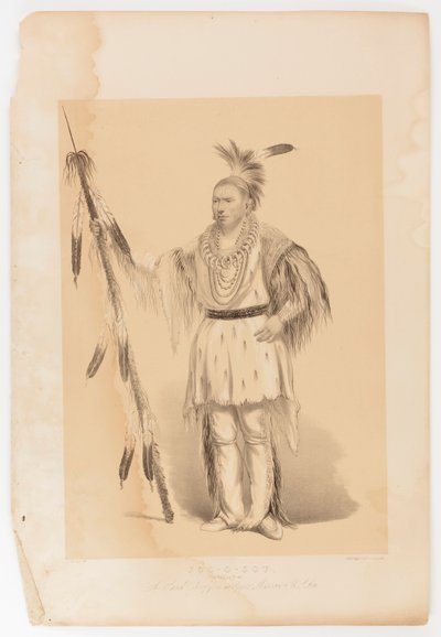 Joc-o-sot, el Oso Caminante de George Catlin