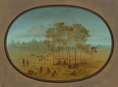 Indios Kiowa recolectando uvas silvestres, 1861-1869 de George Catlin
