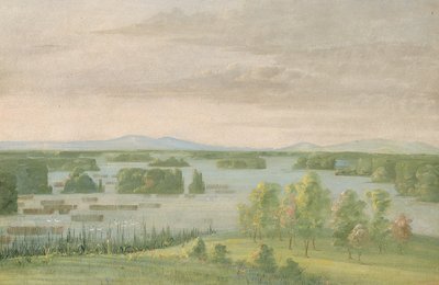 Lac du Cygne (Lago de los Cisnes), cerca del Coteau des Prairies de George Catlin