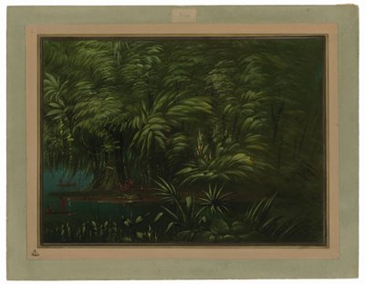Bosque Exuberante en la Orilla del Amazonas de George Catlin