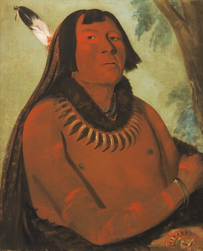 Mah-táhp-ta-a, corre por el medio, un valiente de George Catlin