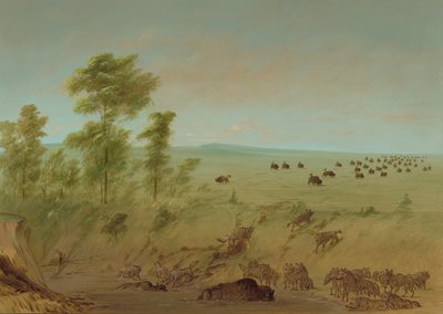 Búfalo Atascado y Lobos, 1861-1869 de George Catlin