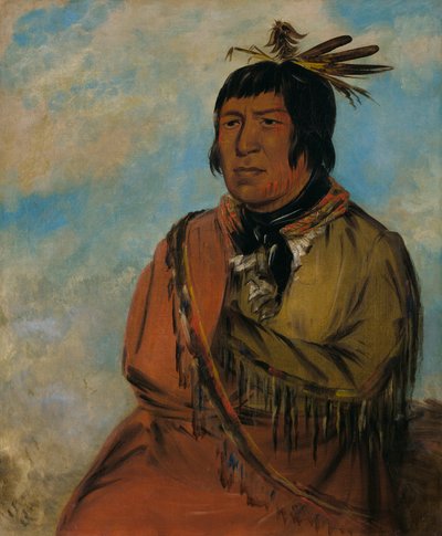 Na-pów-sa, Oso que viaja de noche, un jefe de George Catlin