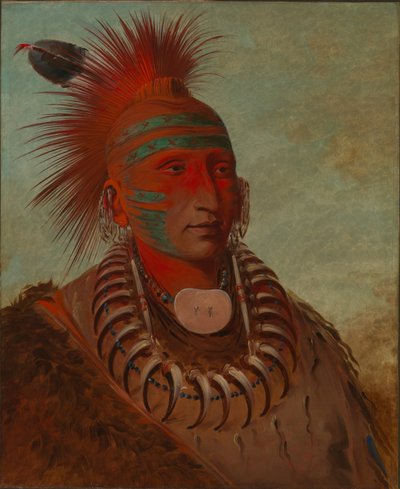 No-ho-mun-ya, El que no presta atención de George Catlin