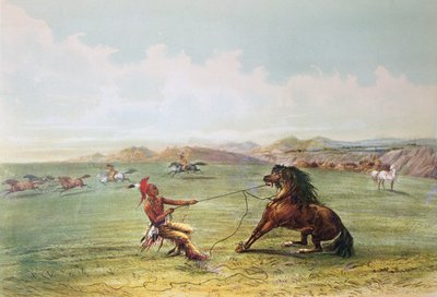 Cazadores osage capturando caballos salvajes de George Catlin