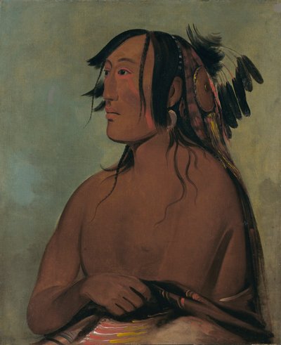 Pa-ris-ka-roó-pa, Dos cuervos, el más joven de George Catlin