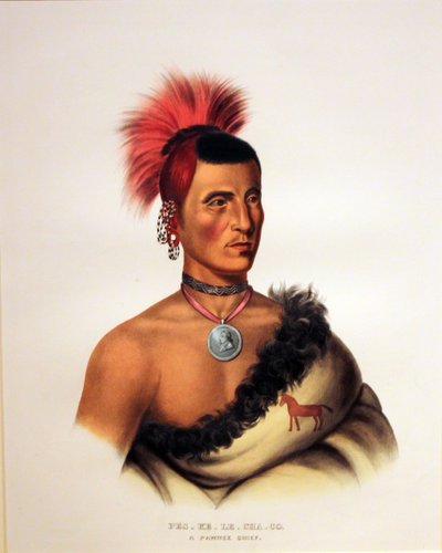 Jefe Pawnee Pes Ke Le Cha Co de George Catlin