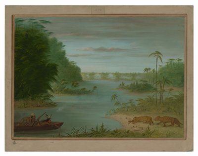 Pont de Palmiers y caza de tigres de George Catlin