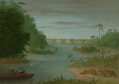 Puente de Palmiers y Caza de Tigres, 1854-1869 de George Catlin
