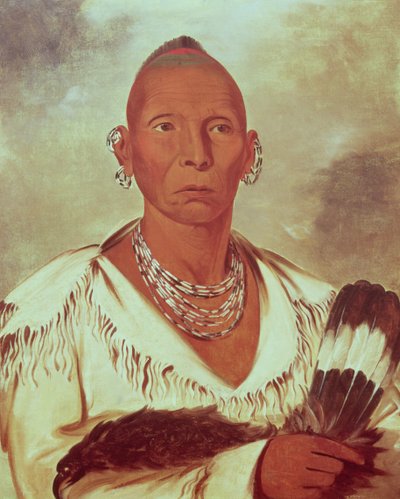 Retrato de Halcón Negro, jefe indio de George Catlin