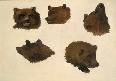 Retratos de dos osos grizzly, de la vida, 1839-1840 de George Catlin