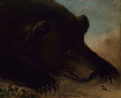 Retratos de un oso pardo y un ratón, tamaño natural de George Catlin