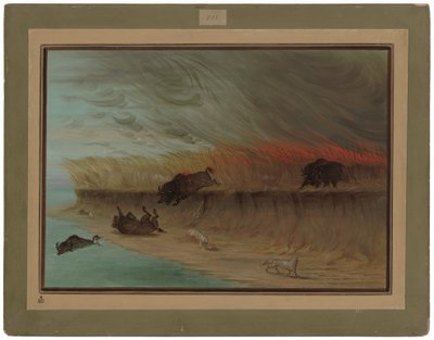  de George Catlin