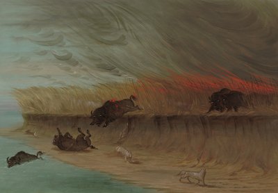 Praderas en llamas de George Catlin