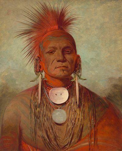 See-non-ty-a, un hombre medicina de Iowa de George Catlin