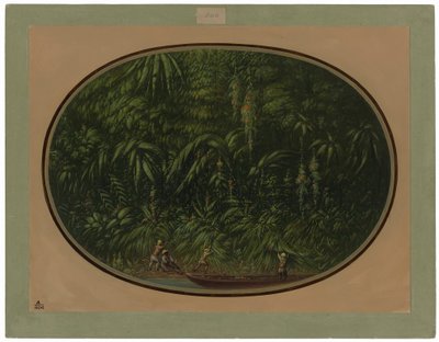 Orilla del Trombetas de George Catlin