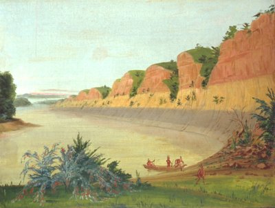 Lado sur de la Isla Búfalo, mostrando las bayas de búfalo en primer plano de George Catlin