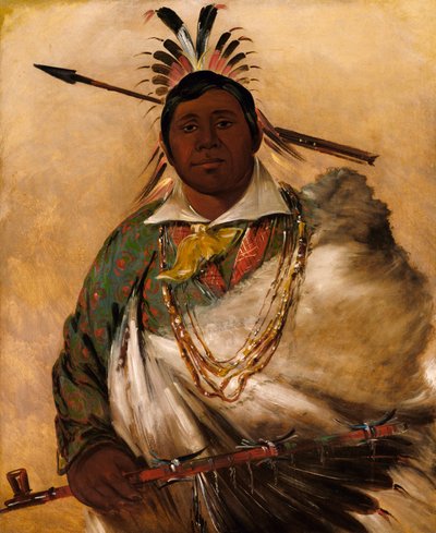 Téh-ke-néh-kee, Abrigo Negro, un Jefe de George Catlin
