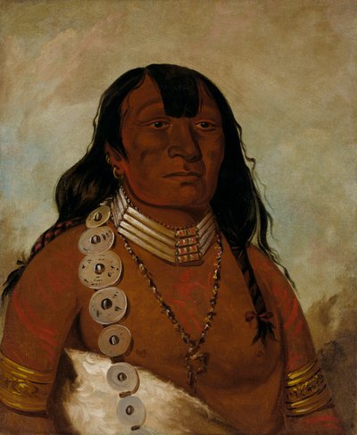 Téh-tóot-sah (más conocido como Tohausen, Little Bluff), Primer Jefe de George Catlin