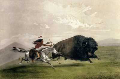 La caza del búfalo "Seleccionando" de George Catlin