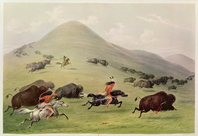 La Caza del Búfalo, c.1832 de George Catlin