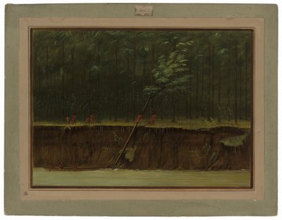 Vista del bajo Misisipi de George Catlin