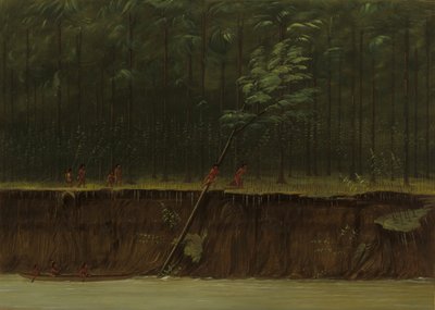 Vista del Bajo Mississippi, 1861-1869 de George Catlin