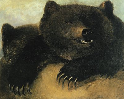 Armas y fisonomía del oso pardo de George Catlin
