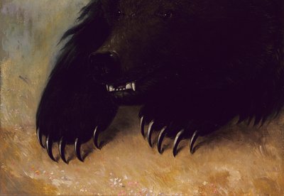 Armas y fisonomía del oso grizzly de George Catlin