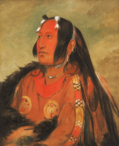 Wi-jún-jon, Cabeza de Huevo de Paloma La Luz, un joven guerrero distinguido de George Catlin