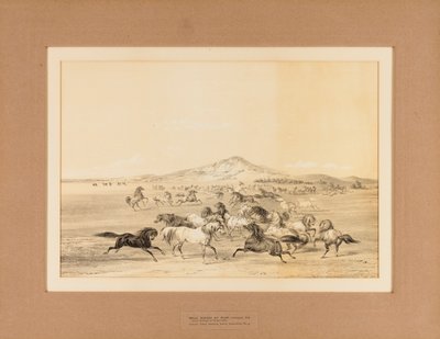 Caballos salvajes jugando--no. 3 de George Catlin
