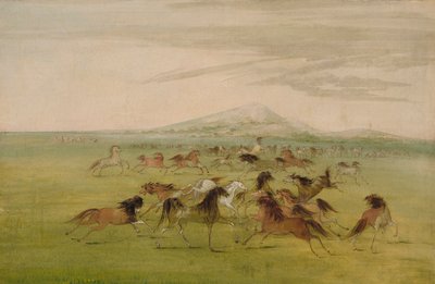 Caballos salvajes jugando de George Catlin