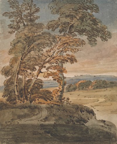 Árboles en una ladera de George Chinnery
