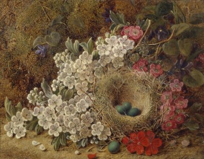 Nido de pájaros y flor en un banco musgoso de George Clare