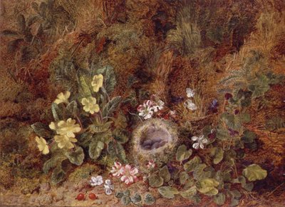 Naturaleza Muerta con Nido de Pájaros y Flores Silvestres de George Clare
