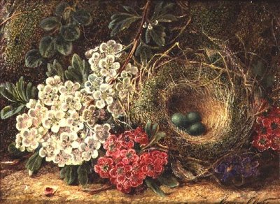 Naturaleza muerta con nido de pájaro de George Clare