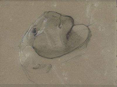 Cabeza de león, probablemente por una escultura de George Clausen