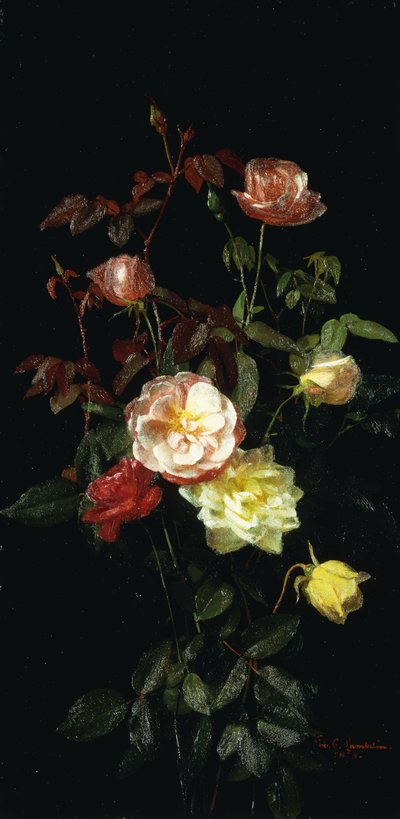 Rosas, 1878 de George Cochran Lambdin