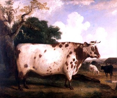 Un toro Shorthorn en un paisaje de George Cole