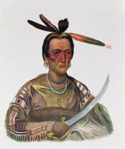 To-Ka-Cou, un Jefe Sioux Yankton, 1837, ilustración de 