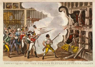Destrucción del Elefante Furioso en Exeter Change, 1826 de George Cruikshank