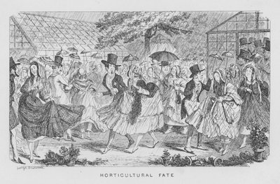 Destino Hortícola, es decir, lluvia en una fiesta de George Cruikshank
