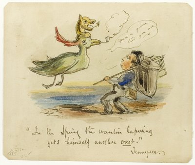 En primavera, la avefría solitaria consigue otra cresta de George Cruikshank