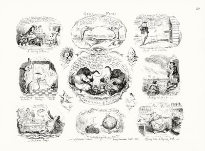 Peces extraños de George Cruikshank