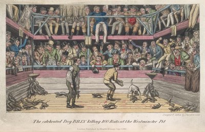 Matanza de ratas, "La vida en Londres, etc.", por Pierce Egan de George Cruikshank