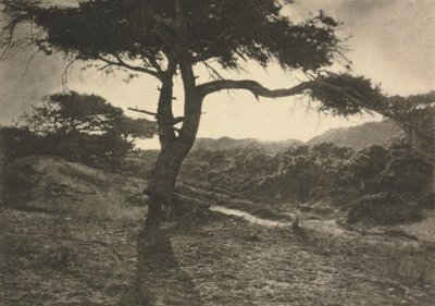 Camera Work: The Long Arm de George Davison