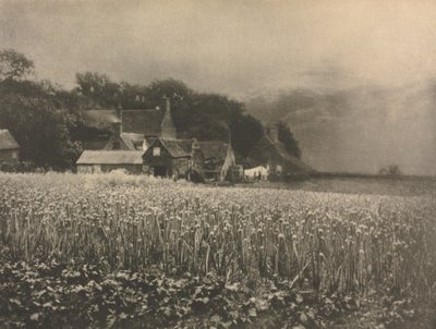 Camera Work: The Onion Field - 1890 de George Davison