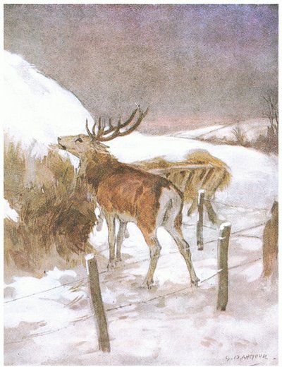 Pronto descubrió dónde se guardaba el forraje para los bueyes (litografía en color) de George Denholm Armour