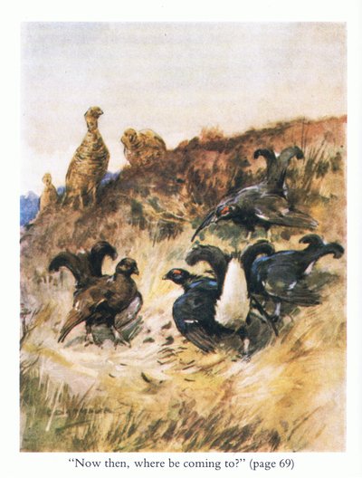 "Ahora bien, ¿a dónde vamos?" (litografía en color) de George Denholm Armour